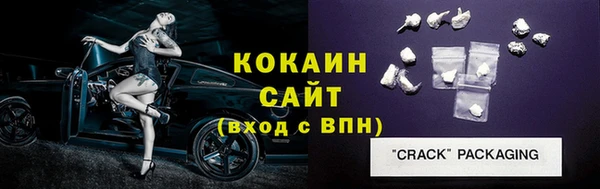 стаф Арсеньев