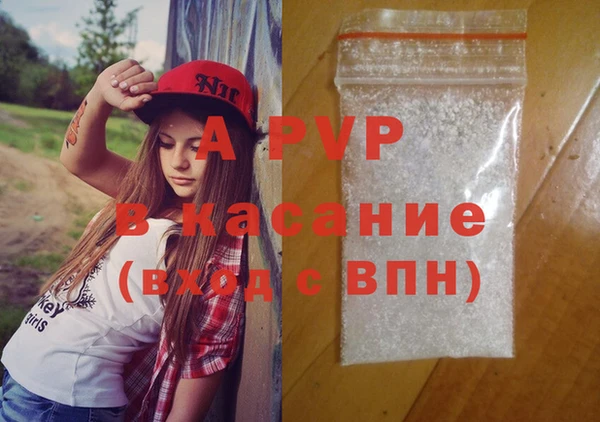 стаф Арсеньев