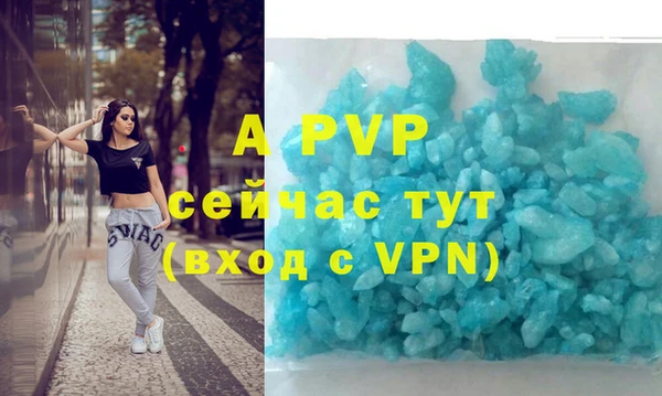 стаф Арсеньев
