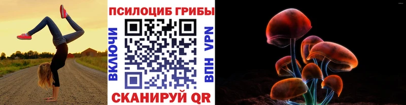 Псилоцибиновые грибы ЛСД mega маркетплейс Пучеж наркошоп